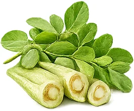 Vitanex — moringa en la composición