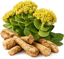 Vitanex — rhodiola en la composición